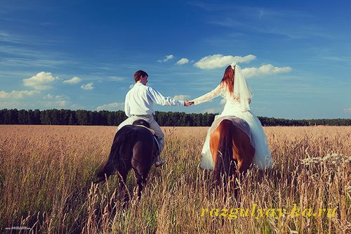 свадьба с лошадьми